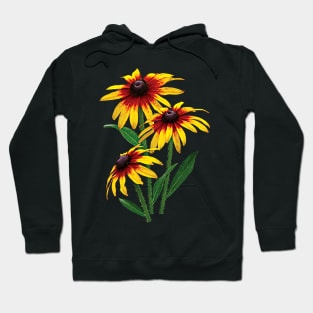 Daisies - Three Shasta Daisies Hoodie